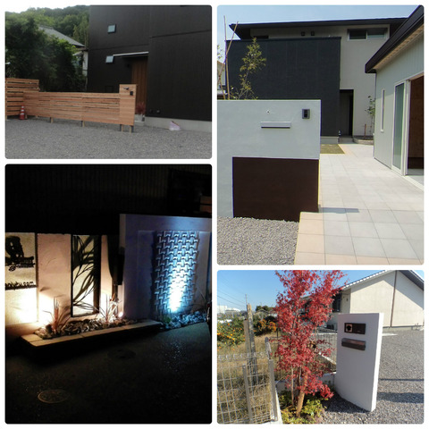 collage_photocat3