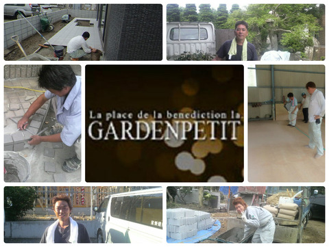 collage_photocat6