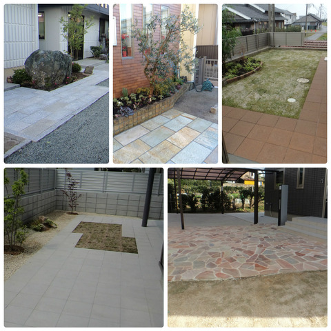 collage_photocat5