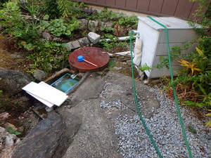 P9020955