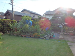 P9020945