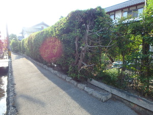 P9020930