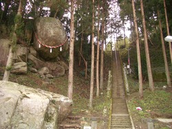 IMGP0848