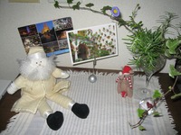IMG_1951