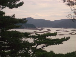 IMGP0845