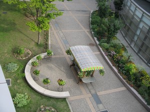 IMG_3358