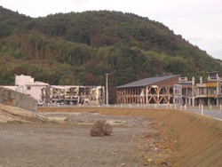 IMGP0847
