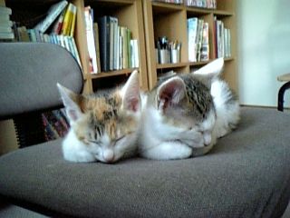 2012051302