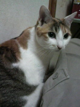 2012042506