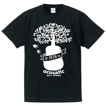 acoustic-002-1