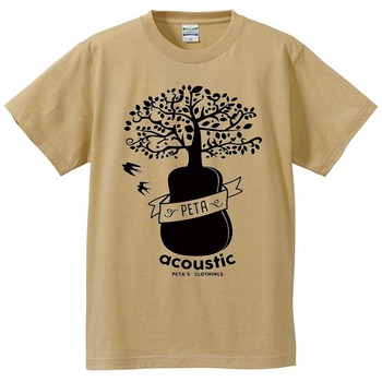 acoustic-053