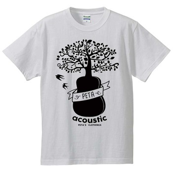acoustic-001