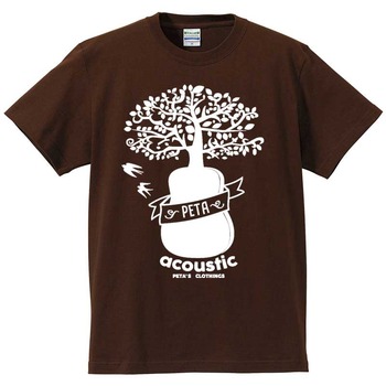 acoustic-052