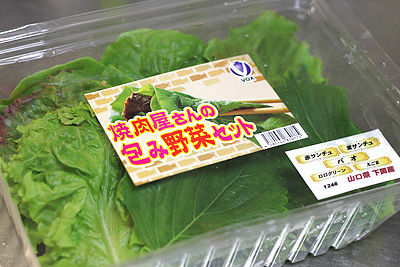 tutumiyasai