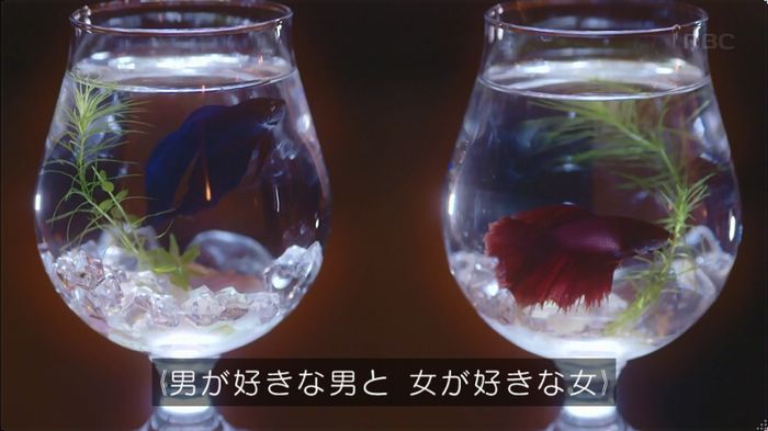 逃げ恥　3話のキャプ92