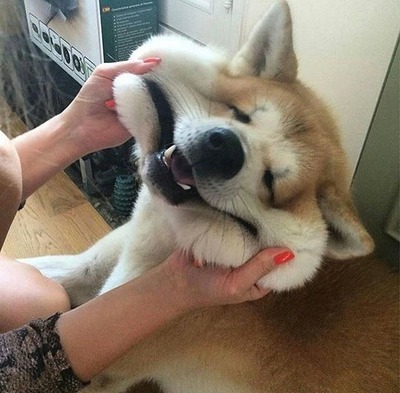 DEdVZISUIAEBfP6