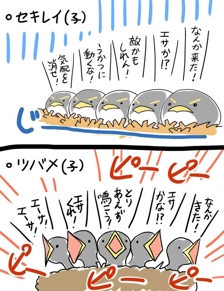 DBTbCfbUAAAxsR1