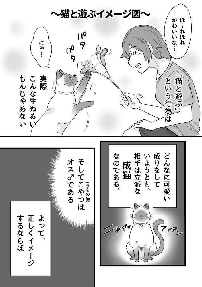 DCNJyqqVoAAL6zb