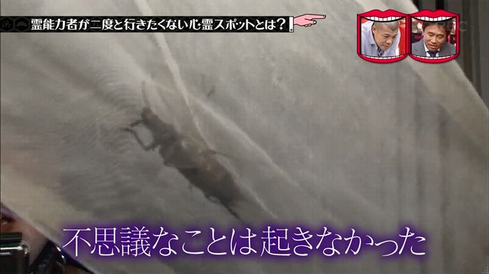 水曜日のダウンタウンのキャプ47