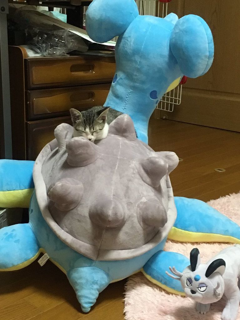 DKpSyujVAAAqfqP