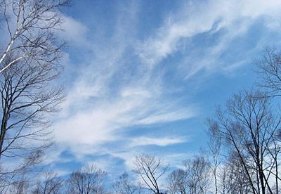 c0130226_212775