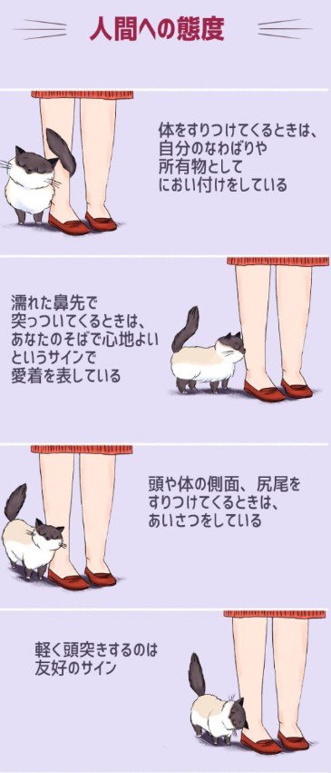 DRVNYaTU8AIsBVf