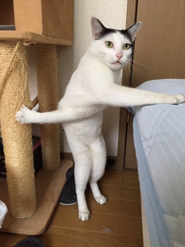 CptnXHcUIAAvCOE