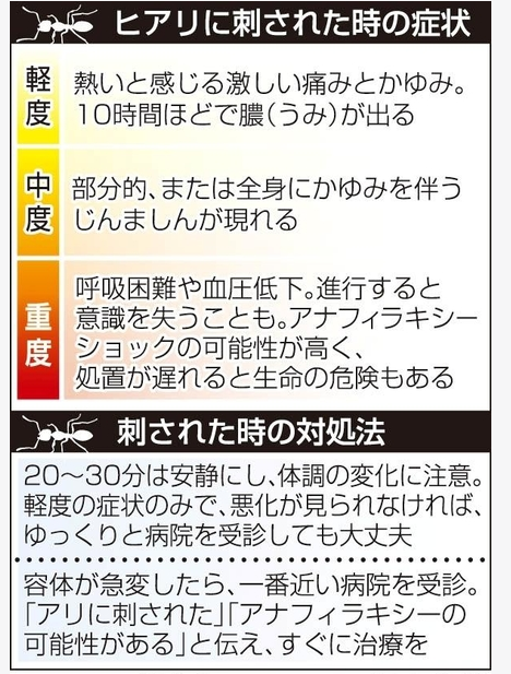 SnapCrab_NoName_2017-6-18_12-15-54_No-00