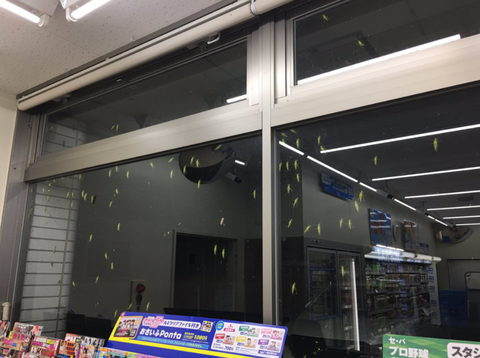 SnapCrab_NoName_2017-8-18_11-35-34_No-00