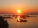 a9252f72.jpg