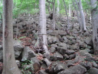 DSC01302