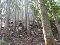 P6040045
