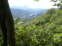 P7200051