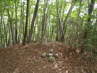 P8070034