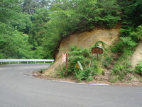 DSC01299