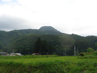 DSC01295