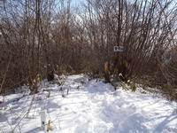 P1290014