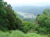 DSC01309