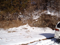 P1290066