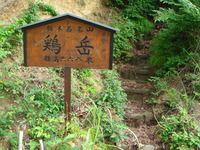 DSC01300