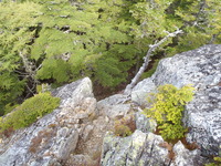 P9230038