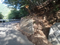PA040003