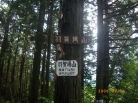 IMGP0830