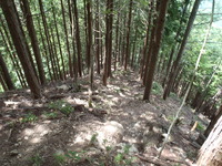 P8070042