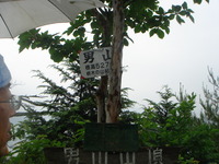 DSC01373