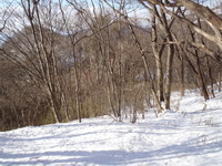 P1290016