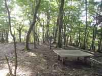 PA040005