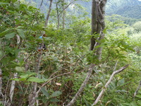P7200055