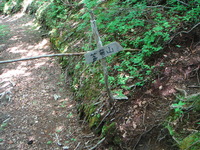 DSC01652