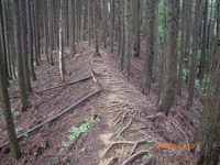 IMGP0822